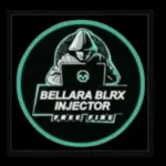 Bellara Blrx Injector
